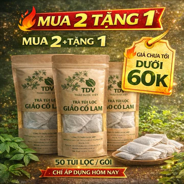 (Mua 2 tặng 1) Combo 50 gói Trà túi lọc Giảo Cổ Lam 5 lá ổn định huyết áp, giảm mỡ máu, bình ổn huyết áp