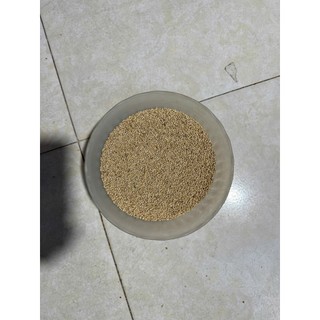 🐦 Hạt Kê Trắng Cho Vẹt, Hamster – Thức Ăn Hạt Bổ Dưỡng, Dùng Hàng Ngày