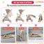 Xe Đẩy Baobaohao A12 Đảo 2 Chiều Tiện Lợi, Xe Đẩy Gấp Gọn Trọng Lượng Siêu Nhẹ Dễ Dàng Di Chuyển