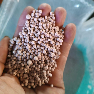 25kg Phân NPK 16-16-16 CCV  Nga- Chuyên ra hoa, nuôi trái cây ăn trái Sầu Riêng, Bưởi, Xoài, hoa kiểng