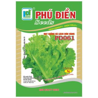 5 Gam - Hạt Giống Xà Lách Dún Vàng, dễ trồng năng xuất cao, kháng sâu bệnh tốt