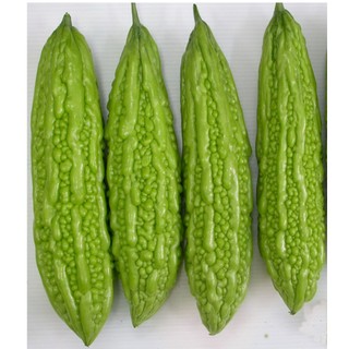 Hạt giống Mướp Đắng Lai Cao Ly F1, năng xuất cao, kháng sâu bệnh tốt - 10 Hạt