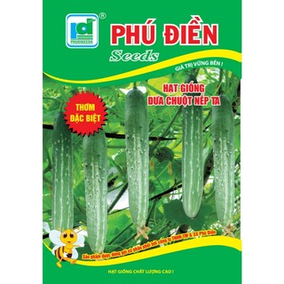 Hạt giống Dưa Chuột Nếp Ta, năng xuất cao, kháng sâu bệnh tốt- 2 gam hạt ( khoảng 50 - 80 hạt)