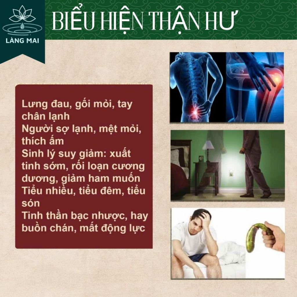 [ Dùng Thử ] Trà Phục Dương Ba Kích Ngọc Cẩu - Làng Mai - 7 Vị thảo dược, Hộp 30 túi lọc
