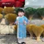 Áo Dài Bé Trai Thanh Ngọc – Nhẹ Nhàng, Thanh Lịch Cho Bé Yêu, mặc dịp tết nguyên đán