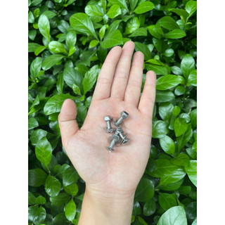 Pass INOX 304 Chống Rung Dè Con Feliz S Neo 2025