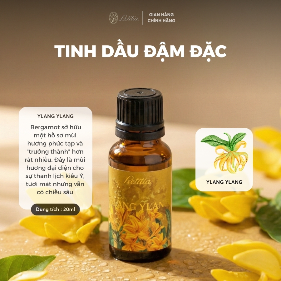 Tinh Dầu Đậm Đặc Nước Hoa Letitia - Ylang Ylang (Ngọc Lan Tây) Giúp Thư Giãn & Dễ Ngủ, Size 20ml