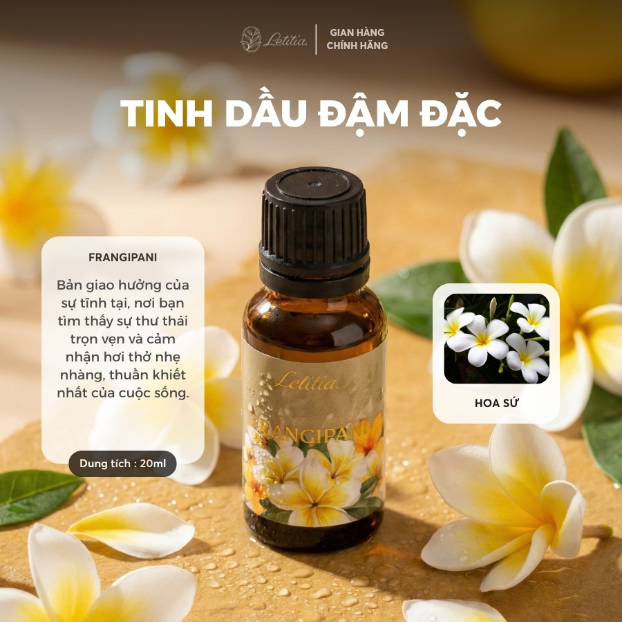 Tinh Dầu Đậm Đặc Nước Hoa Letitia  - Frangipani Hương Hoa Sứ Giúp Thư Giãn & Dễ Ngủ, Size 20ml