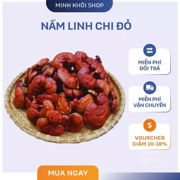 Nấm Linh Chi Đỏ Cao Cấp,Nấm linh chi rừng đỏ khô Tây Bắc thu hái, phơi khô tự nhiên