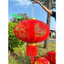 CẶP 2 TRÁI LỒNG ĐÈN NHUNG ĐỎ TREO TẾT 🧧