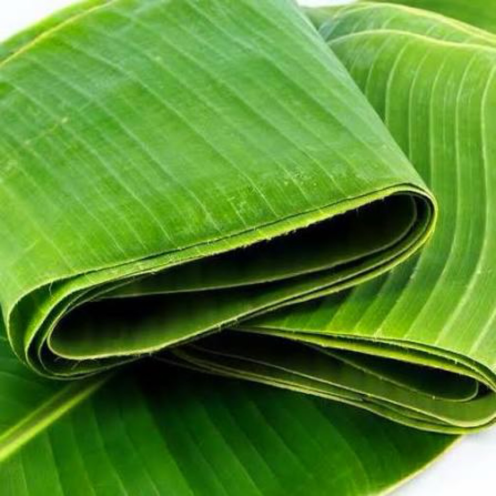 1KG lá chuối tươi chuối Bến Tre bản lá rộng 20 - 28 cm