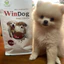 Thức ăn hạt dinh dưỡng cho chó con (vị gà) - WinDog Puppy