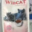 Thức ăn hạt dinh dưỡng dành cho mèo bầu (vị cá biển) - WinCat PREGNANT