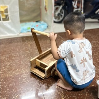 Xe Tập Đi Cho Bé Chống Đổ, Đồ Chơi Xe Đẩy Gỗ Đa Năng Cho Trẻ Từ 1 Đến 4 tuổi, Đồ Chơi Chàng Trai Gỗ