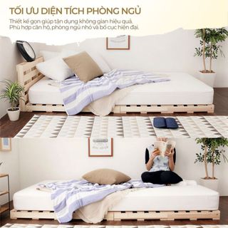 Giường Pallet Nhật Hàn 1m2x2m 1m6x2m 1m8x2m đủ kích thước, Giường Gỗ Thông Tự Nhiên Gấp Gọn Lắp Ráp tiện lợi, giá rẻ