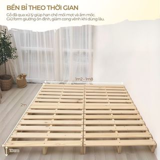 Giường Pallet Nhật Hàn 1m2x2m 1m6x2m 1m8x2m đủ kích thước, Giường Gỗ Thông Tự Nhiên Gấp Gọn Lắp Ráp tiện lợi, giá rẻ