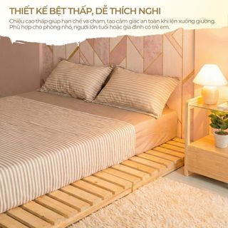 Giường Pallet Chân Thấp 1m6x2m 1m8x2m, Giường Gỗ Tự Nhiên Gấp Gọn, Lắp Ráp Gấp Gọn Nhiều Kích Thước Giá Rẻ