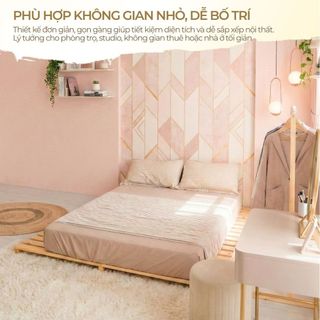 Giường Pallet Chân Thấp 1m6x2m 1m8x2m, Giường Gỗ Tự Nhiên Gấp Gọn, Lắp Ráp Gấp Gọn Nhiều Kích Thước Giá Rẻ