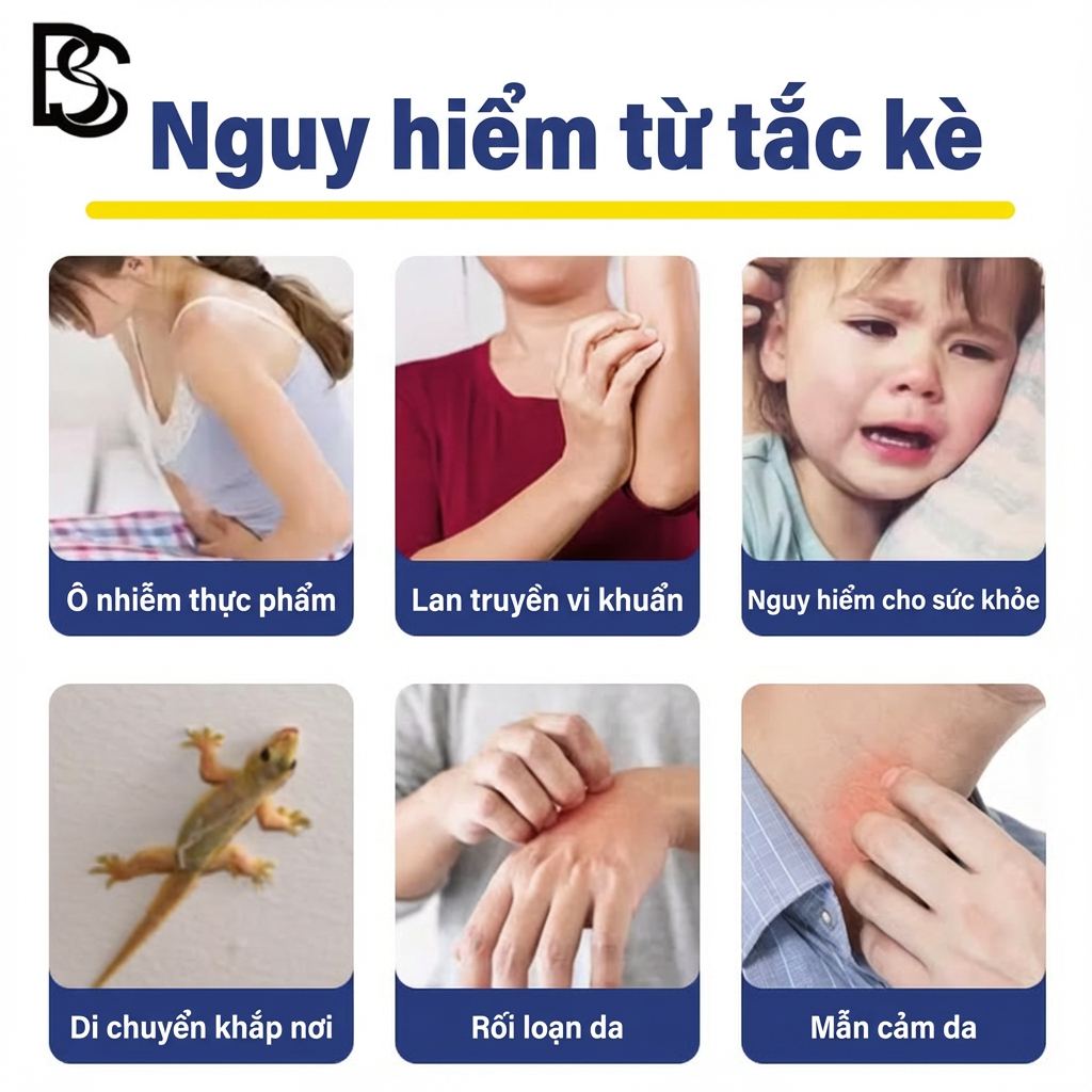 Lôi cuốn mạnh mẽ! Diệt cả ổ! Thuốc diệt thằn lằn Thuốc diệt tắc kè  Xua đuổi thằn lằn Thuốc diệt tắc kè Diệt thằn lằn