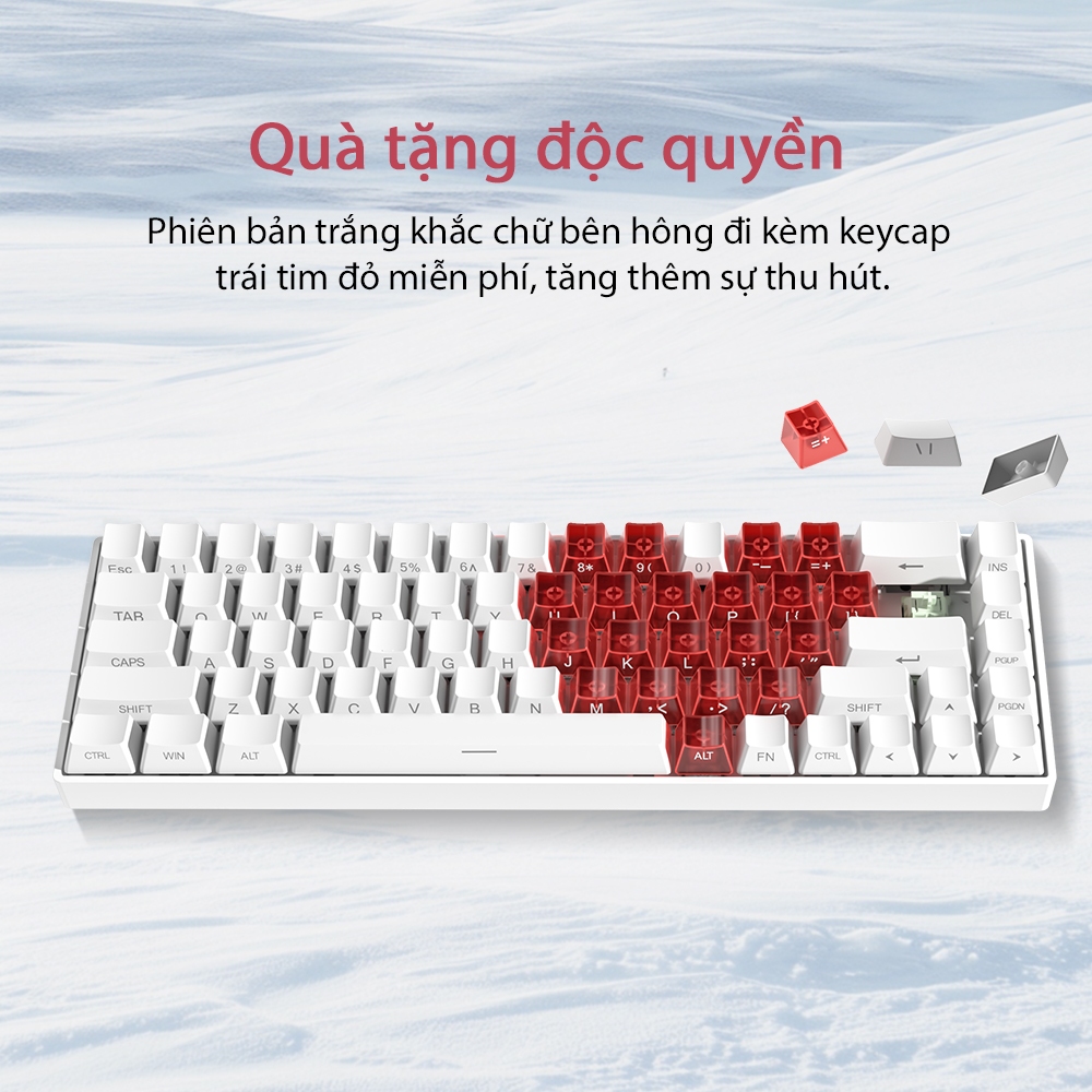 Bàn Phím Cơ 68 Phím ZIFRIEND TK68, Hot-Swap, LED RGB, Êm Tay, Gọn Gàng, Văn Phòng & Game | BigBuy360 - bigbuy360.vn