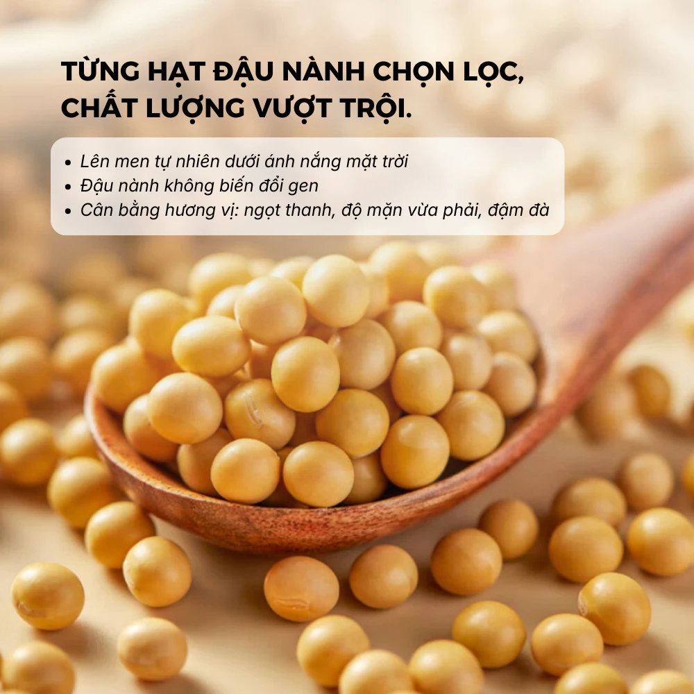 Nước Tương Thanh Diệu Haday Vị Truyền Thống - Gia Vị Trung Quốc