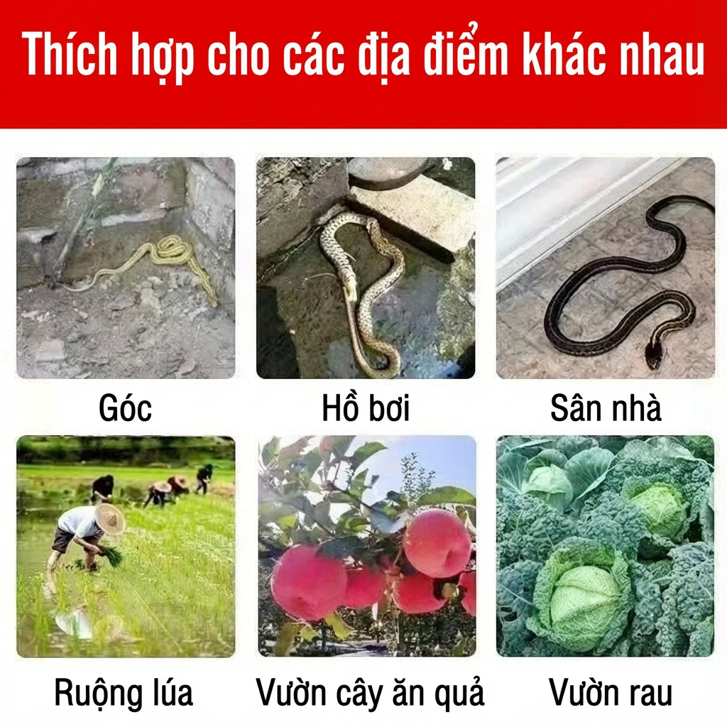 🐍50 năm không có rắn, thuốc chống rắn, thuốc xua đuổi rắn, lưu huỳnh xua đuổi rắn, 1 viên sử dụng được 3 năm