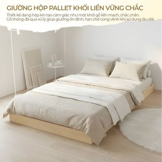 Giường Pallet Hộp 4 Mặt 1m2x2m 1m4x2m 1m6x2m 1m8x2m Khung Giường Ngủ Gỗ Thông Tự Nhiên, Giá Rẻ