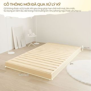 Giường Pallet Hộp 4 Mặt 1m2x2m 1m4x2m 1m6x2m 1m8x2m Khung Giường Ngủ Gỗ Thông Tự Nhiên, Giá Rẻ