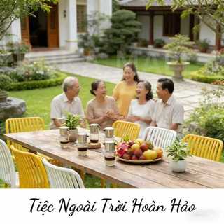 Ghế sân vườn nhựa PP, chống thấm nước, chống nắng không phai màu, thiết kế đơn giản sang trọng, bền bỉ và thoải mái