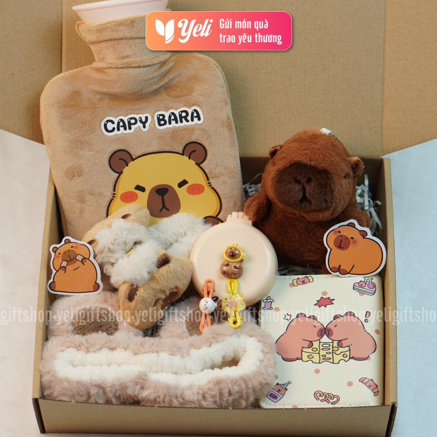 Hộp quà Túi Chườm Capybara tặng sinh nhật người yêu, bạn gái, Set quà túi chườm Capybara nhiều phụ kiện