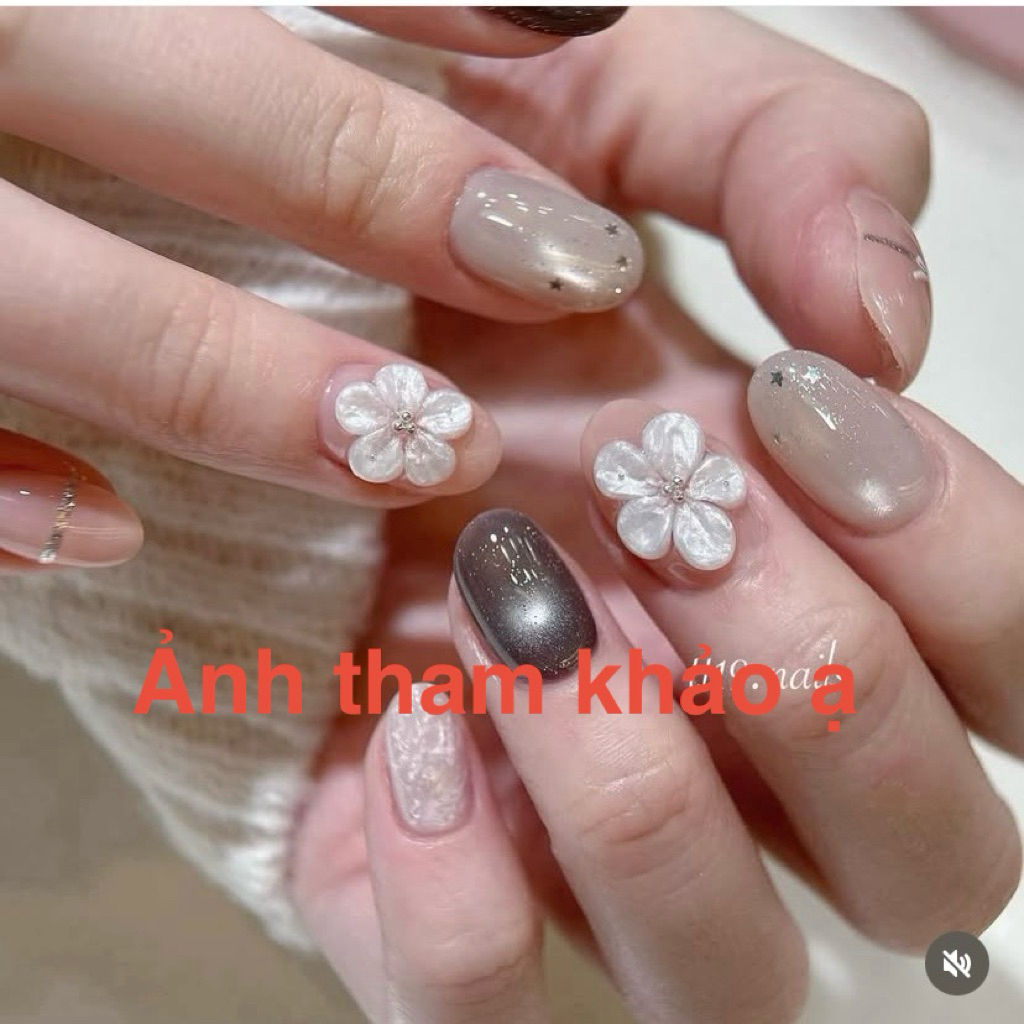 476. nailbox mắt mèo ánh nước xám nude, hoa gel nặn ánh trai