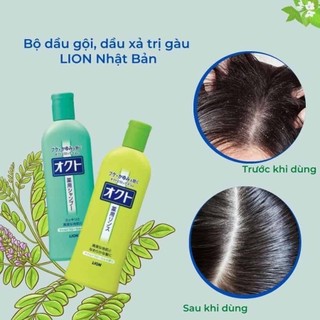 Cặp Dầu Gội Xả Trị Gàu Và Ngứa Da Đầu Lion Okuto 320ml