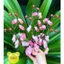 CÀNH HOA MAI, HOA ĐÀO nghệ thuật, còn gọi là hoa cổ trang trí tết xuân