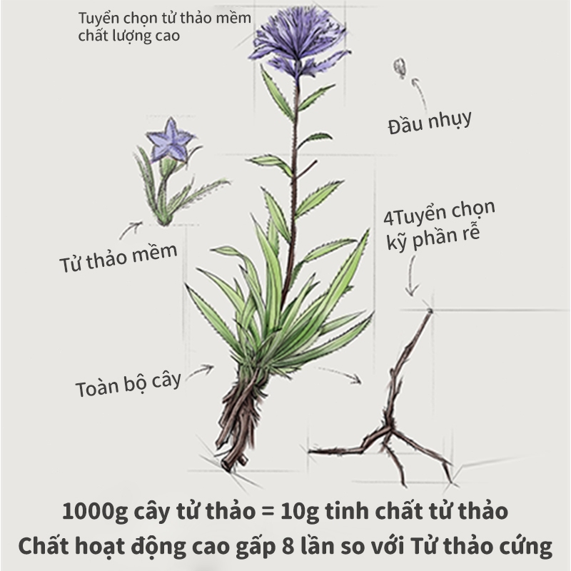 tootoo Thanh sáp dưỡng da làm dịu và bảo vệ giảm ngứa, 8 lần hoạt chất Tử thảo dưỡng ẩm da 6.5g