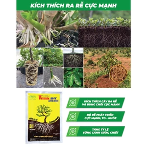 TRIMIX DT SUPER ROOTS - KÍCH THÍCH RỄ CỰC MẠNH, BUNG CHỒI CỰC MẠNH ( gói 500gr)