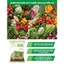 PHÂN HỮU CƠ SINH HỌC ĐIỀN TRANG BIO - CHUYÊN DÙNG CHO TRỒNG RAU HỮU CƠ ( túi 2,5kg)