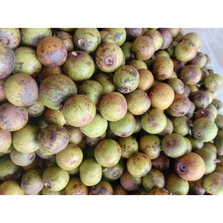 Quả táo rừng gai, loại tươi, già / loại khô nguyên quả, từ núi Đá Bàn