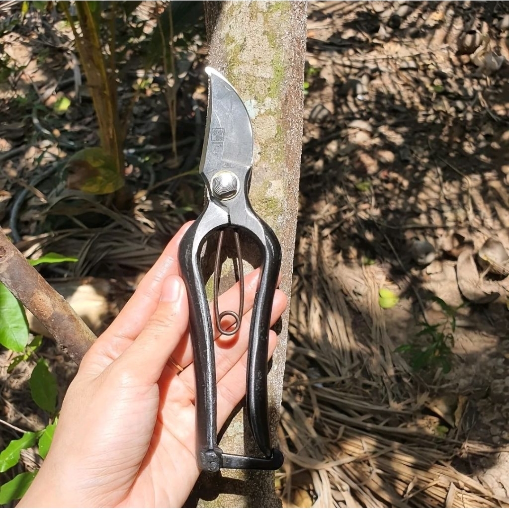 (Hàng xịn) Kéo Cắt Cành Tỉa Cành Cán Đúc Kéo Thép Đen Nhật Bản Dụng Cụ Cây Cảnh - Dụng Cụ Nông Nghiệp GD Smart