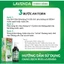 Combo 2 sản phẩm Lavenda