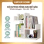 Kệ xương rồng nhỏ xinh, phù hợp decor cho mọi căn phòng và không gian trang trí