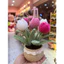 Chậu tulip bằng len chậu để bàn decor trang trí