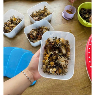 Hộp trữ đông Basic 650ml Tupperware, dùng chia thực phẩm theo ngày tiện lợi.
