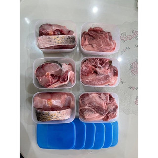 Hộp trữ đông Basic 650ml Tupperware, dùng chia thực phẩm theo ngày tiện lợi.