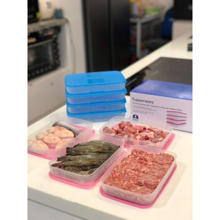 Hộp Trữ Đông Freezermate 650ml Dẹp Tupperware, Hộp Thấp Trữ Đông Nhựa Nguyên Sinh An Toàn