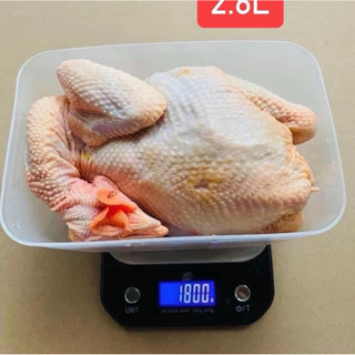 Hộp trữ đông 2.3L (1 hộp) Tupperware, nhựa nguyên sinh an toàn thực phẩm