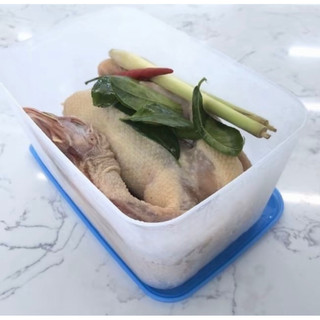 Hộp trữ đông 2.3L (1 hộp) Tupperware, nhựa nguyên sinh an toàn thực phẩm