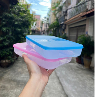 Hộp Trữ Đông Freezermate 650ml Dẹp Tupperware, Hộp Thấp Trữ Đông Nhựa Nguyên Sinh An Toàn