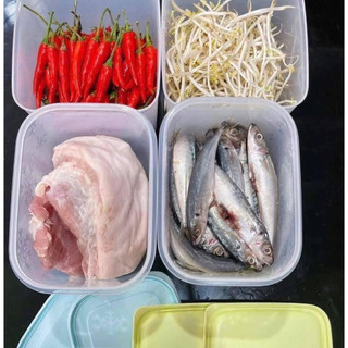 Bộ 4 hộp trữ đông, trữ mát tupperware chính hãng, nhựa nguyên sinh an toàn
