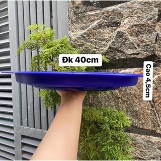 Khay xoay 360 độ, tup Malay, đựng trái cây, đựng ly đều được