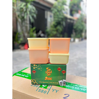 Combo 4 hộp trữ khô, trữ mát Tupperware (2 hộp 1L và 2 hộp 650ml)